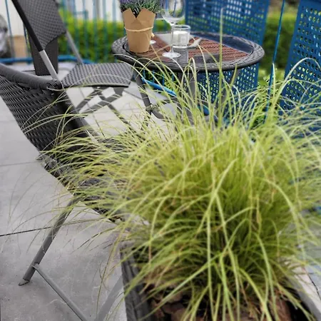 Berlin-oase - Schnuckelige An Der Grenze Zu Berlin