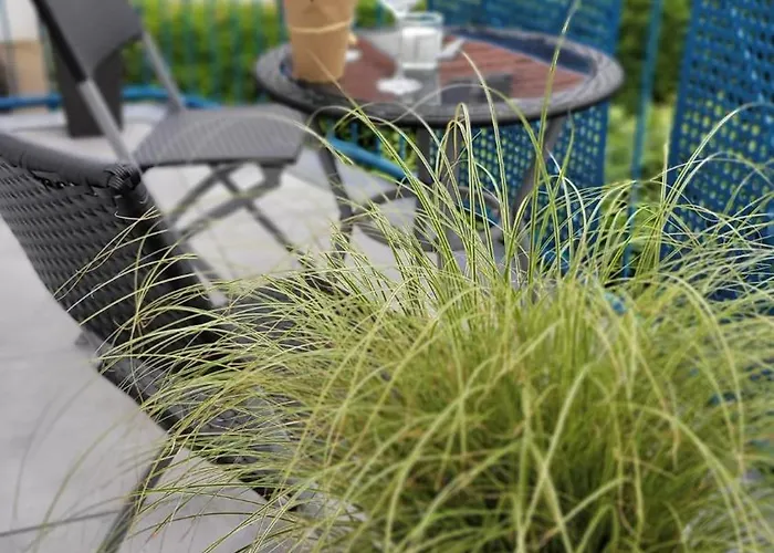 Berlin-oase - Schnuckelige An Der Grenze Zu Berlin Schönefeld